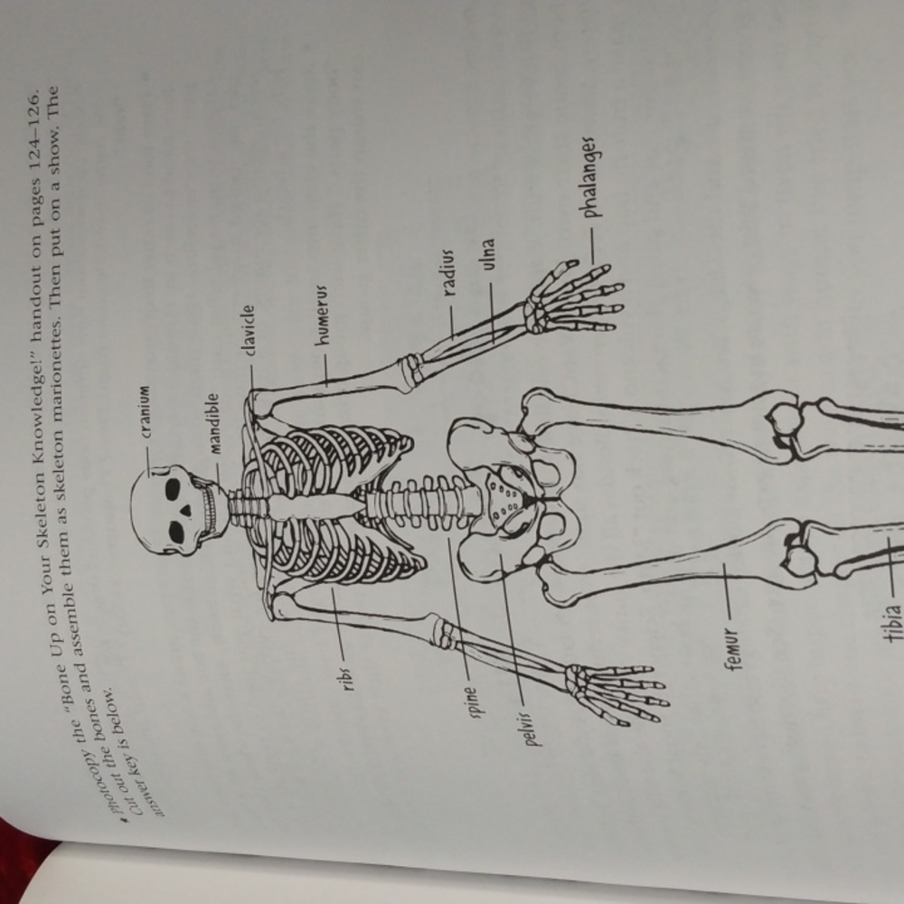 Book Laughing Lessons - Picture 12 of 12